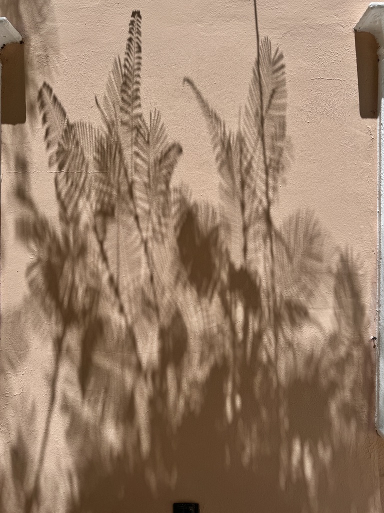 E6774AB6-A8FF-4B95-BE3C-D688A89B460A_1_105_c.jpeg
